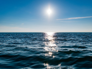 Стручњаци упозоравају: океани, извор живота на Земљи све угроженији!