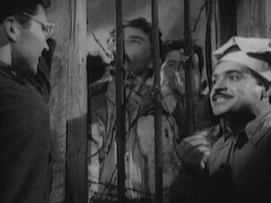 Кампо Мамула