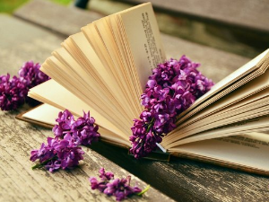  У друштву песника 