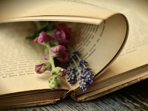  У друштву песника 