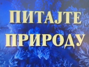 Питајте природу