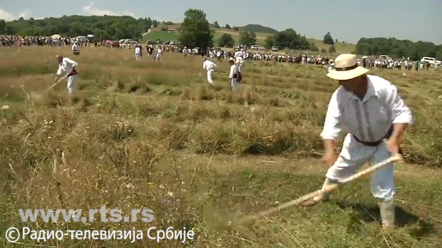 Косидба на Рајцу