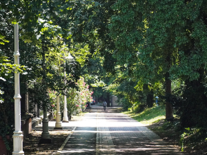 Упозорење РХМЗ-а је још на снази: Након врућег летњег дана, после подне и увече стижу пљускови и непогоде