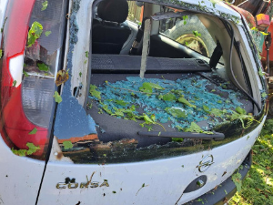 Невреме у сликама, како је орканска олуја протутњала Србијом