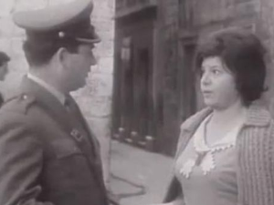 Палма међу палмама