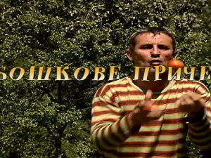 Бошкове приче - Извор