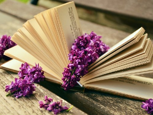 У друштву песника 