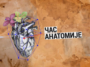 Час анатомије: Има ли славе без скандала