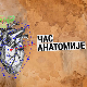 Час анатомије: У тренду