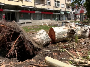 Још нема званичних процена штете од невремена