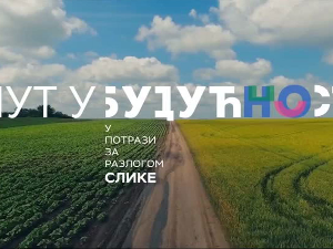  Пут у будућност: У потрази за разлогом слике, 2-13, 1С