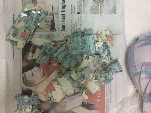 Баки термити појели сву уштеђевину – не чувајте новац у сламарици