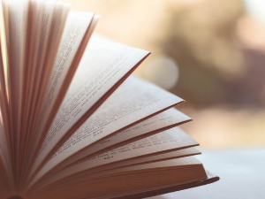 У друштву песника 