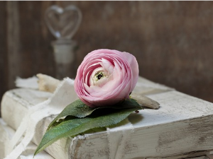 У друштву песника 