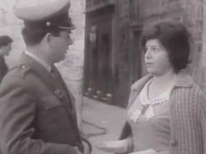 Палма међу палмама