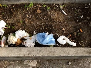 Награда за еколошки ТВ филм Врмџа феста Слађану Стојановићу, сниматељу РТС-а