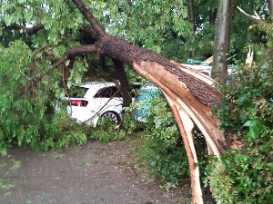Олуја у Крушевцу ломила гране и скидала црепове