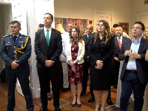 Mедијска мрежа српске дијаспоре: Српска разгледница из Америке