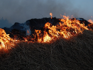 МУП позвао грађане да не пале траву и ниско растиње на отвореном