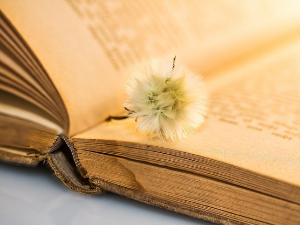  У друштву песника 