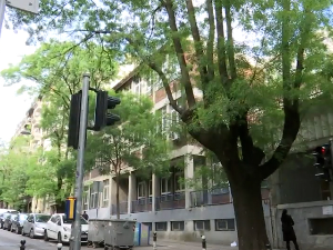 Почела реконструкција дела школе "Владислав Рибникар"