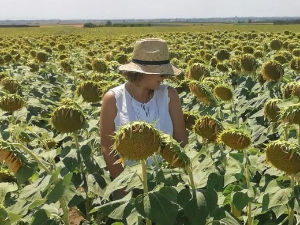 Знање имање-31.7.2022.