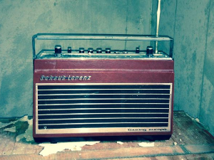 Азбука евергрина - Adamo 