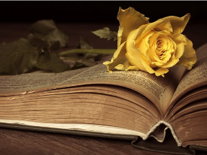 У друштву песника 