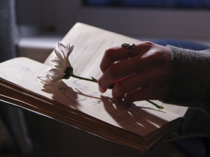 У друштву песника 