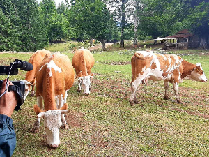 Знање имање: Чувари традиције