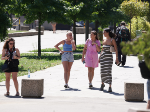 Магловито јутро, поподне сунчано – због више сунца неколико степени топлије