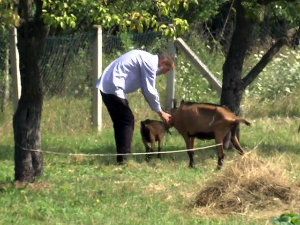 „Мењам ауто за козу“ – Василијев рецепт за живот