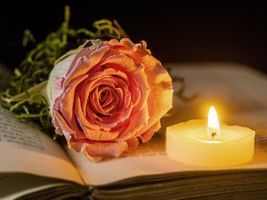 У друштву песника