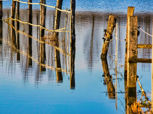 РХМЗ упозорава на могуће бујице и поплаве на токовима Колубаре и Јадра