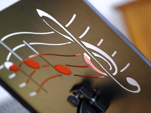 Концерт - Војислав Спасић