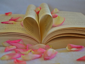 У друштву песника