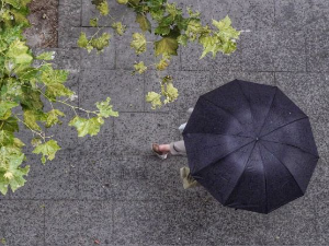 Седам топлих августовских дана, понегде киша и пљускови