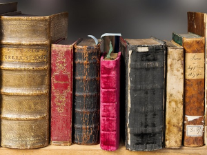 У друштву песника