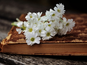 У друштву песника