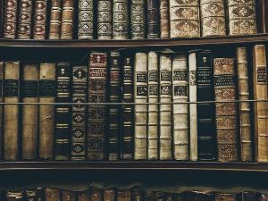 У друштву песника