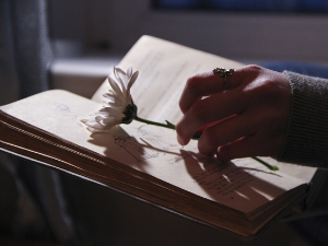 У друштву песника