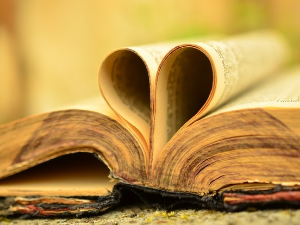 У друштву песника