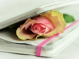 У друштву песника