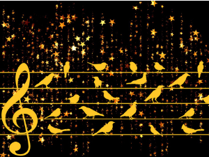 Ритам звезда - Музика Битлса у обради