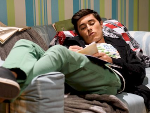 Муке једног Лава