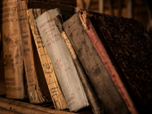 У друштву песника