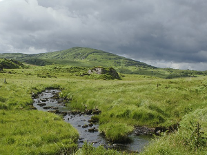 Компас - Ирска