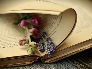 У друштву песника