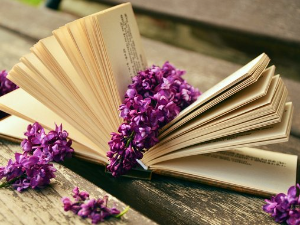 У друштву песника