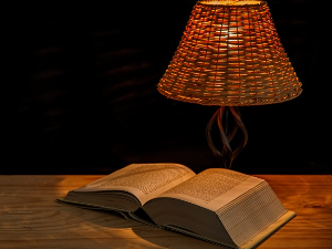 У друштву песника